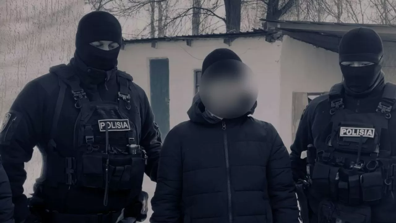 Расстрел в степи: под Алматы задержали банду, убивавшую скот прямо на пастбищах