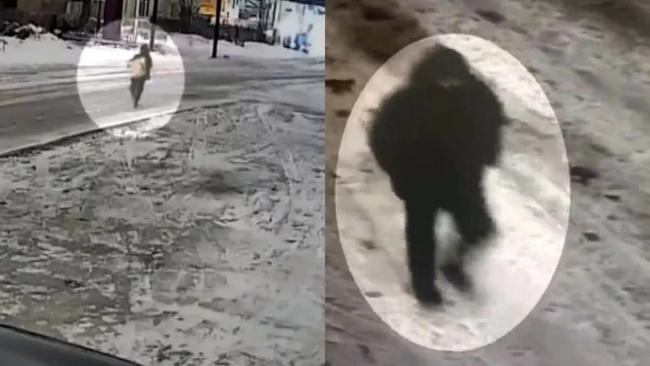 Грабитель с украденным сейфом попал на видео в Казахстане 