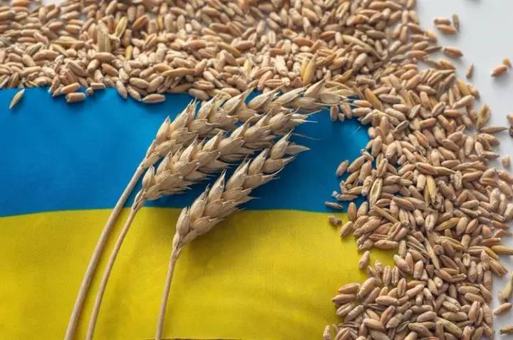 Польша мен Румыния Украинаға астық экспортында көмектесуден бас тартты