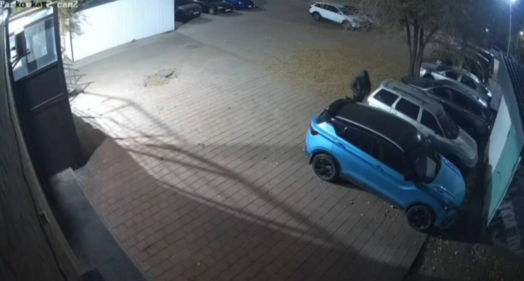 Қарағандыда бейнекамера көлік ұрлығын ашуға көмектесті