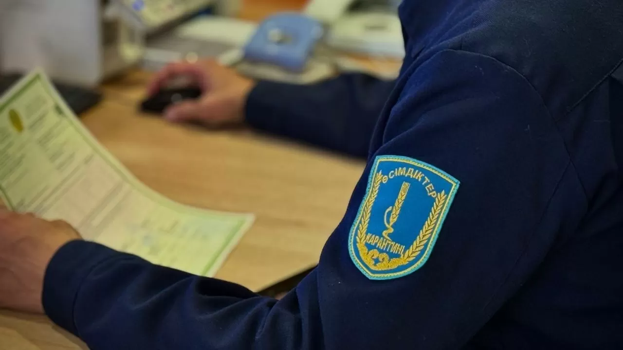 Казахстан не пустил из России 85 тонн зараженной продукции 