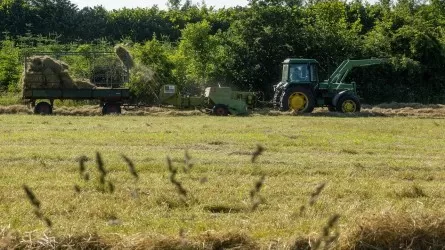 Поле на триллионы: как за семь лет выросло сельское хозяйство Казахстана