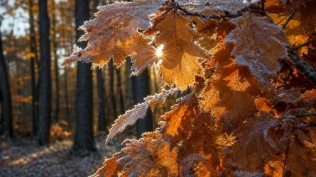  Снег, дожди и заморозки до -9 &deg;C: какой будет погода в Казахстане 30 октября 