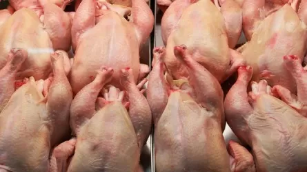 Китай теснит Россию на рынке курятины Казахстана 