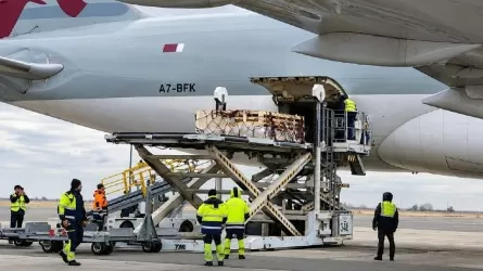 Boeing с необычным грузом прилетел из Австралии в Астану 