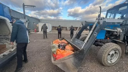 Подпольный мясной цех выявили в Астане