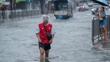 Крысиной лихорадкой рискуют заразиться казахстанцы в Таиланде 