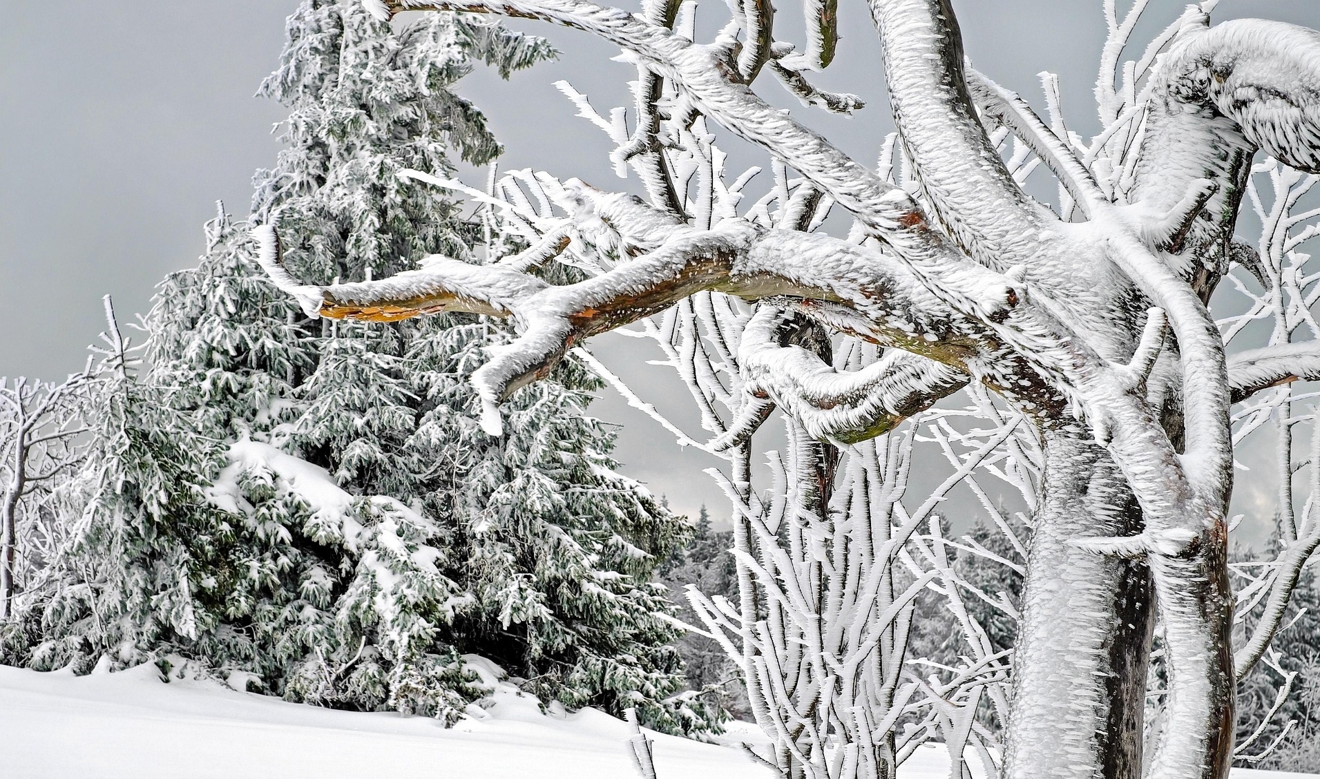 Ледяной дождь, снег и аномальные морозы охватят регионы Казахстана