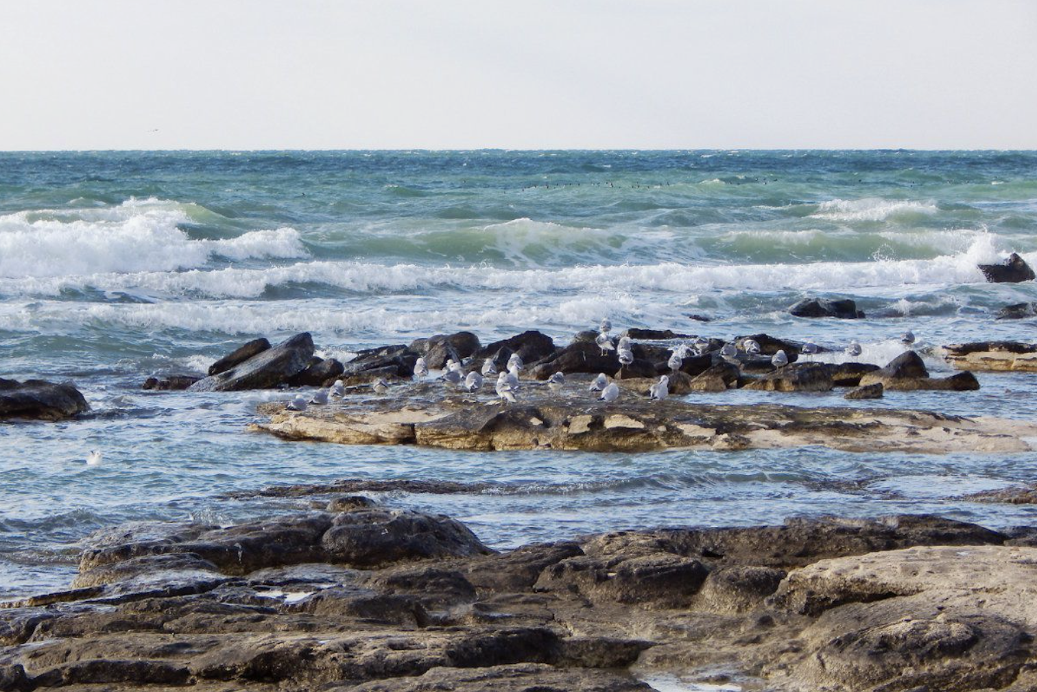 Каспий теңізін зерделеуге Үкімет резервінен 1,1 млрд теңге бағытталды
