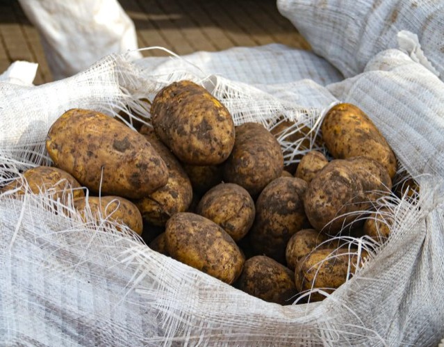 Павлодарлық шаруаның картопты биржаны "айналып" өтіп сатқаны анықталды