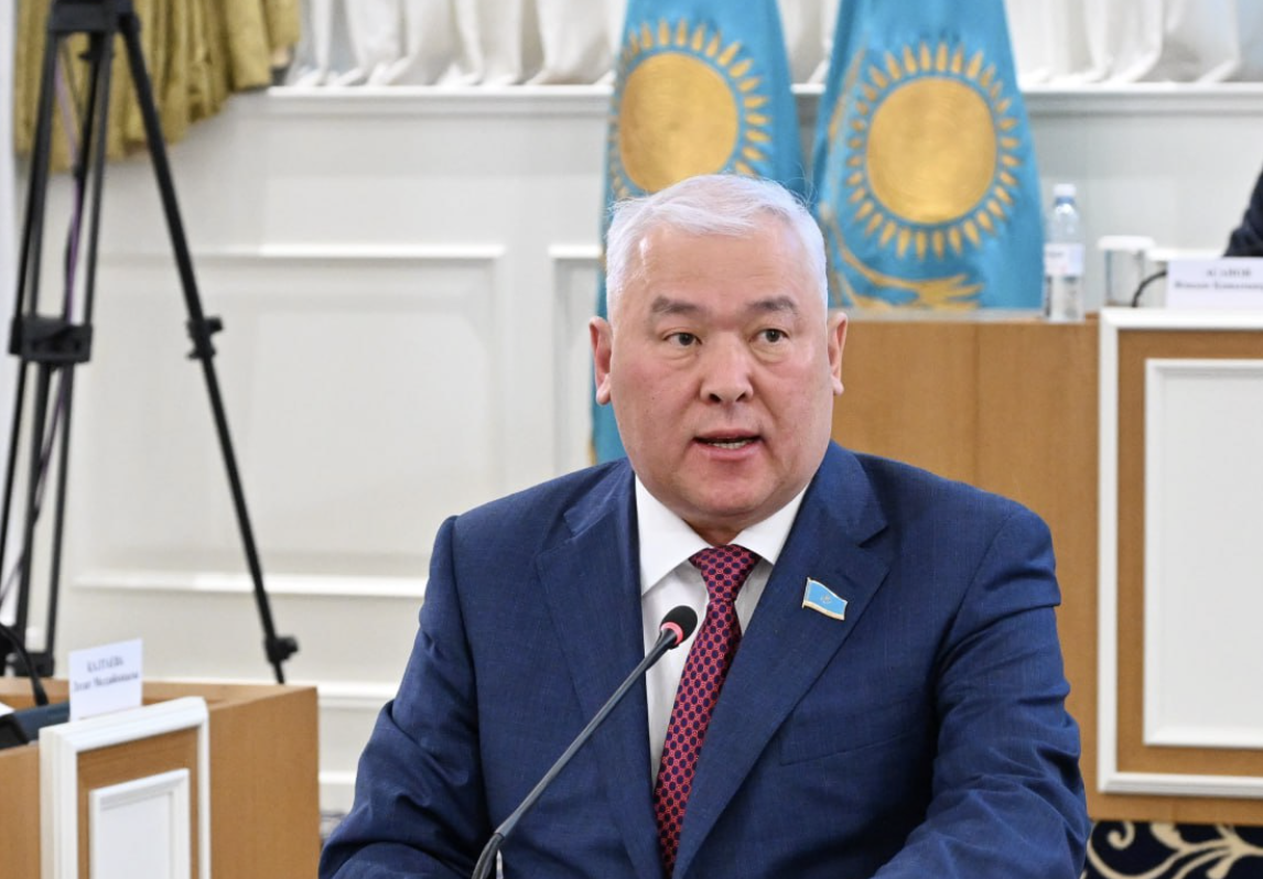 Конституция жобасының 99 пайызын ел қолдап отыр &ndash; депутат