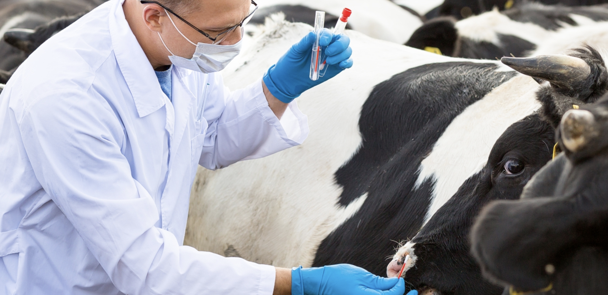 Атырау облысындағы бірқатар ауылда карантин жарияланды