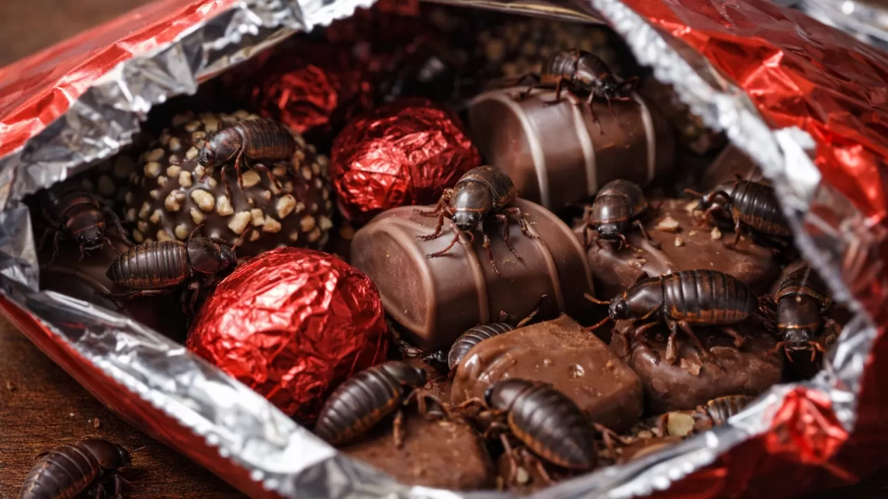 Шок в Костанае: насекомые в сладостях  