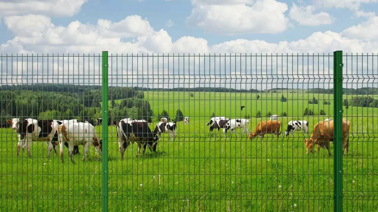 Ақсуда сатылып кеткен жайылым халыққа қайтарылды