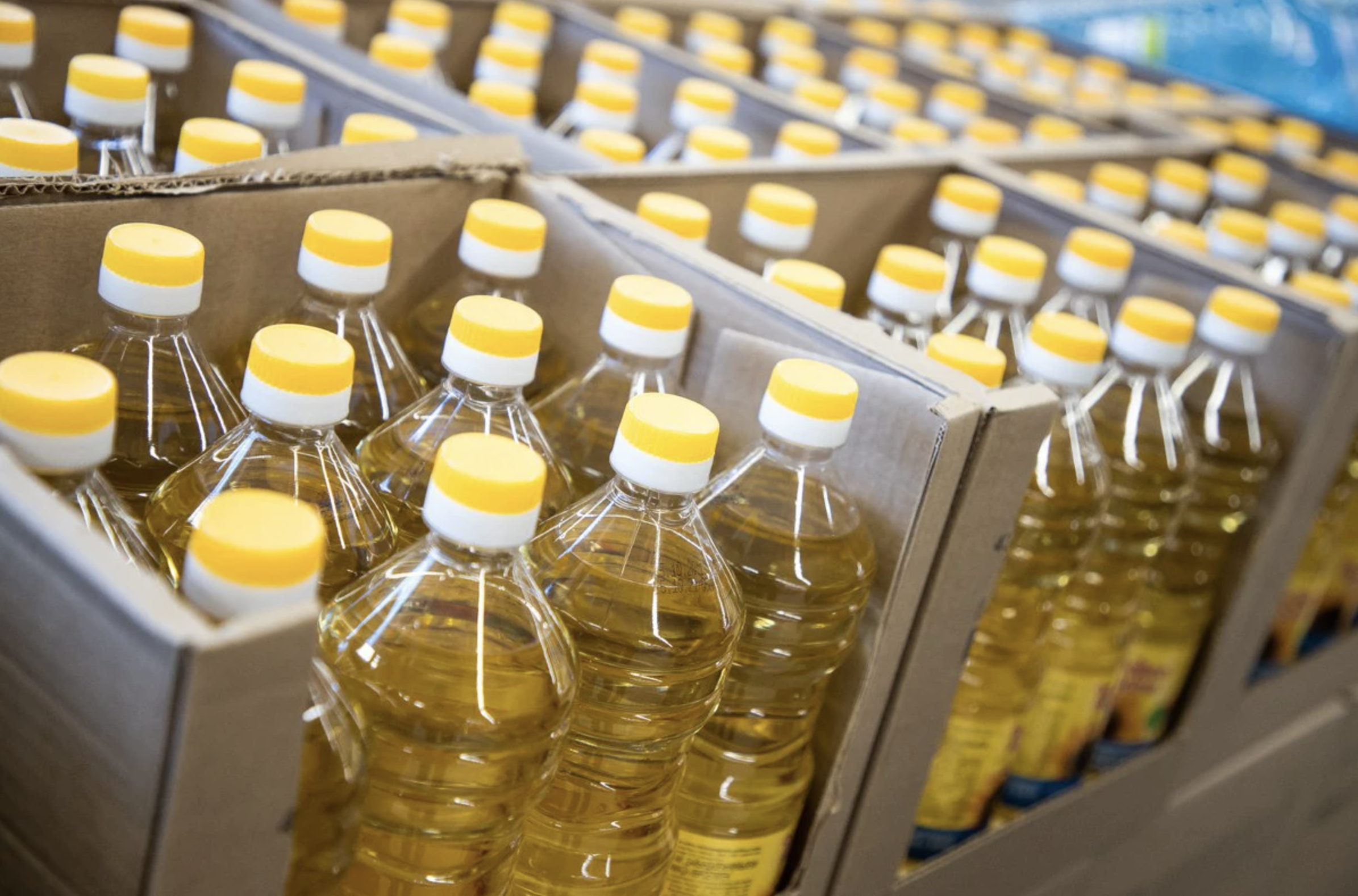 Еліміз әлемдік күнбағыс май экспортында 8-орынға шықты