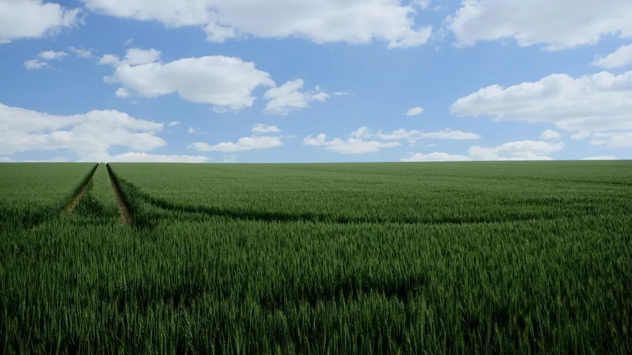 Изъятие земель грозит крупным землевладельцам