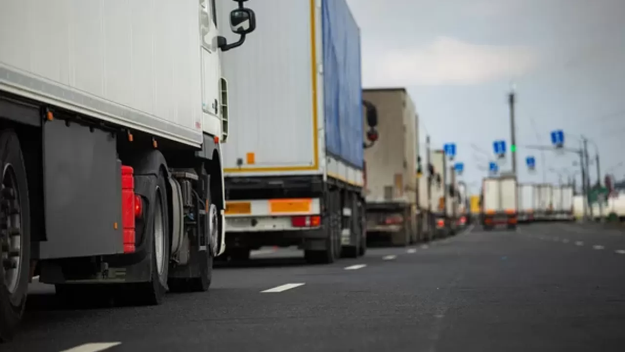 Подкарантинную продукцию массово ввозили с нарушениями в Казахстан