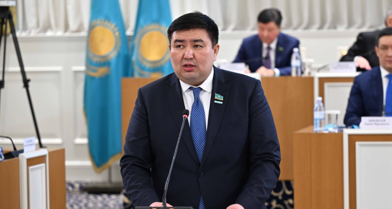 Қазақстандықтар жаңа Конституция ережелерінің 98%-ын қолдайды &ndash; Елнұр Бейсенбаев