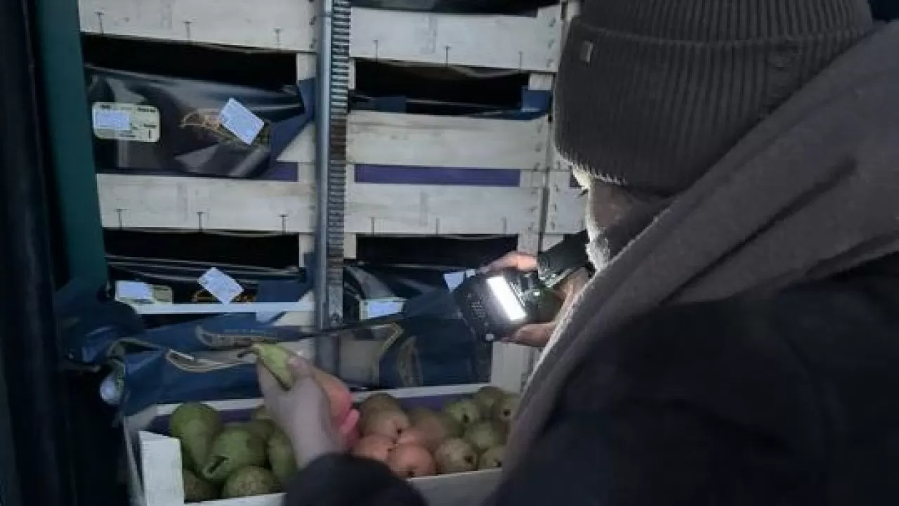 В порту Курык развернули партию фруктов 