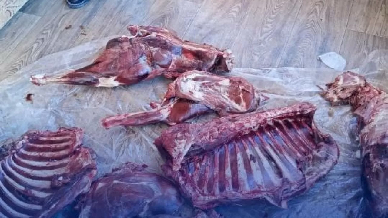 За что старший егерь попал под следствие в Акмолинской области 