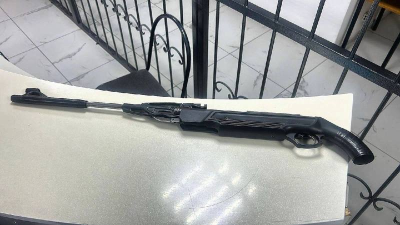 "Мас болған, иттерге оқ атқан": Семейде ветеринария қызметкері ұсталды