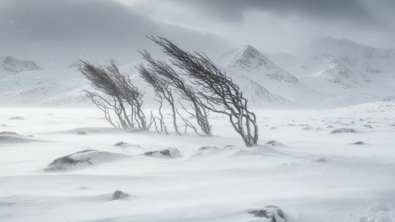 Резкое похолодание и шквалистый ветер: синоптики предупредили об опасной погоде 21 февраля