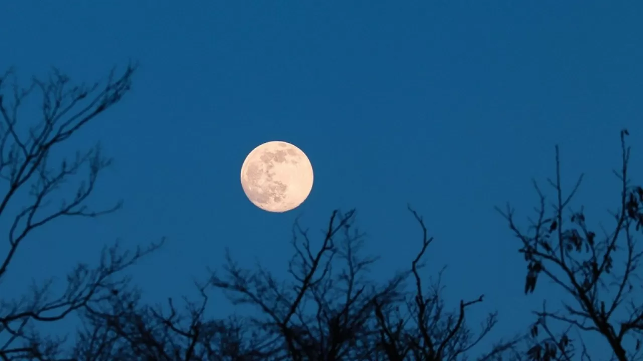 Маск анонсировал строительство городов на Луне и Марсе