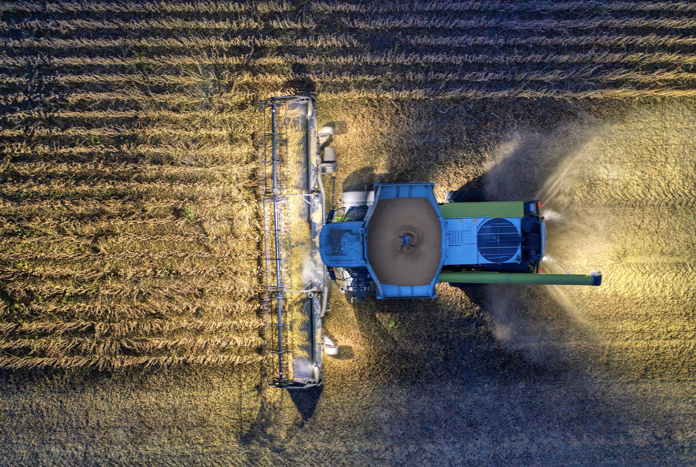 Биыл шамамен 23,8 млн гектарға егіс егіледі