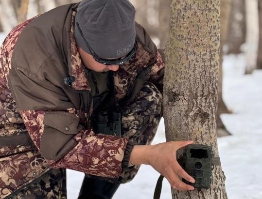 Диких животных Улытау изучают скрытые камеры 