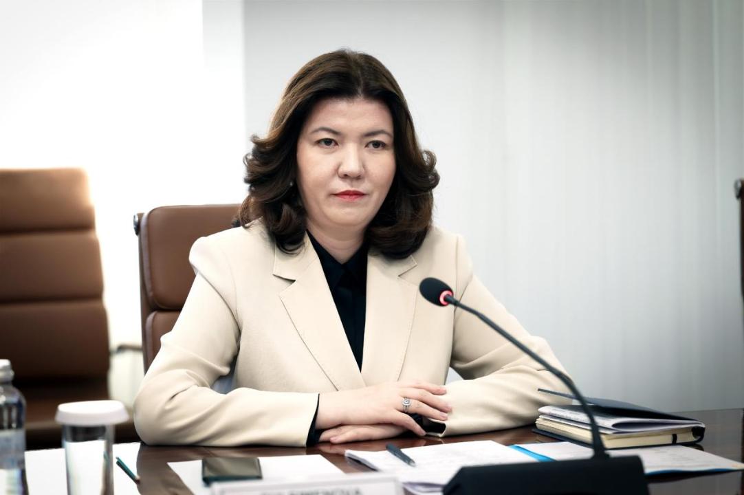 Министр жекеменшік мектептер мәселесіне қатысты өз ұстанымын айтты