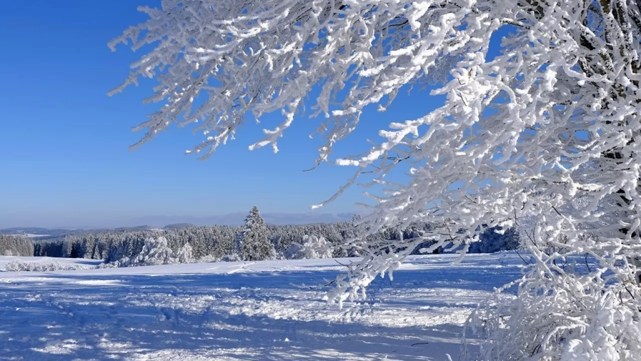 Снег, ветер и резкое похолодание: штормовые условия прогнозируются в Казахстане 
