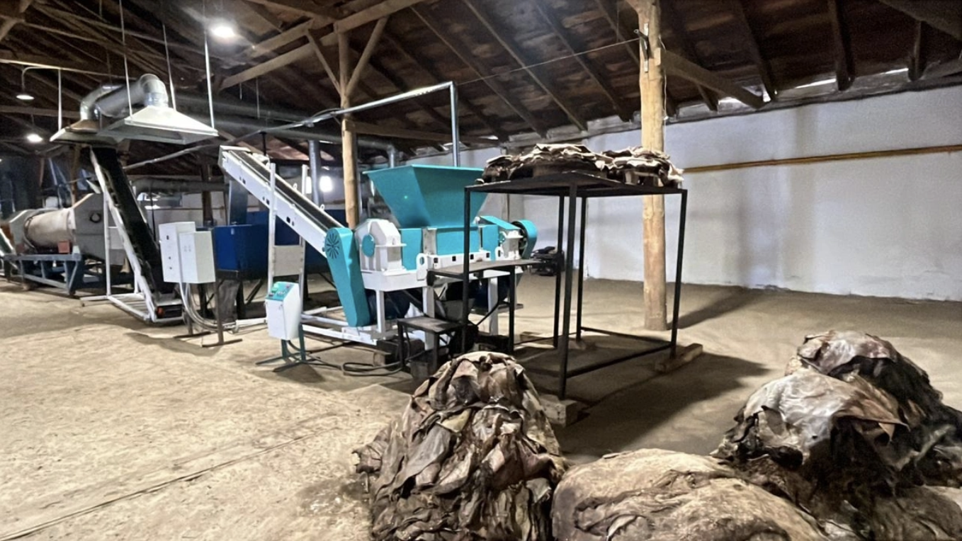 Батыс Қазақстанда тері өңдейтін зауыт іске қосылды