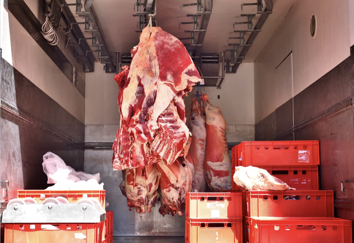 Қазақстанның Ресейден мал мен ет әкелуге не себепті шектеу енгізгені белгілі болды