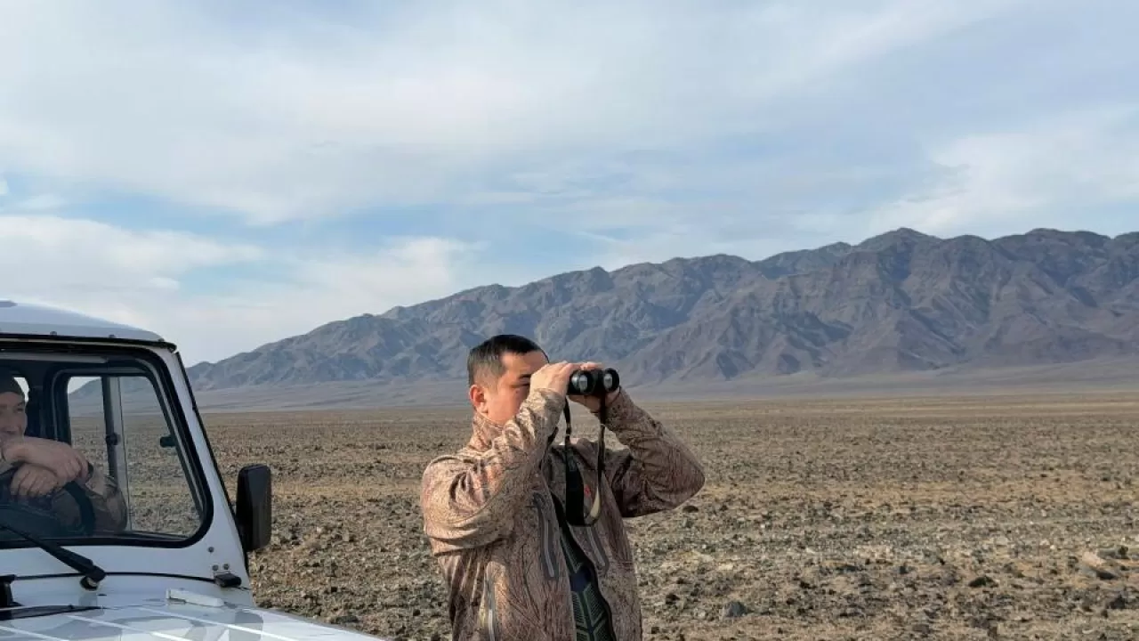 В нацпарке Казахстана подсчитали редких животных  