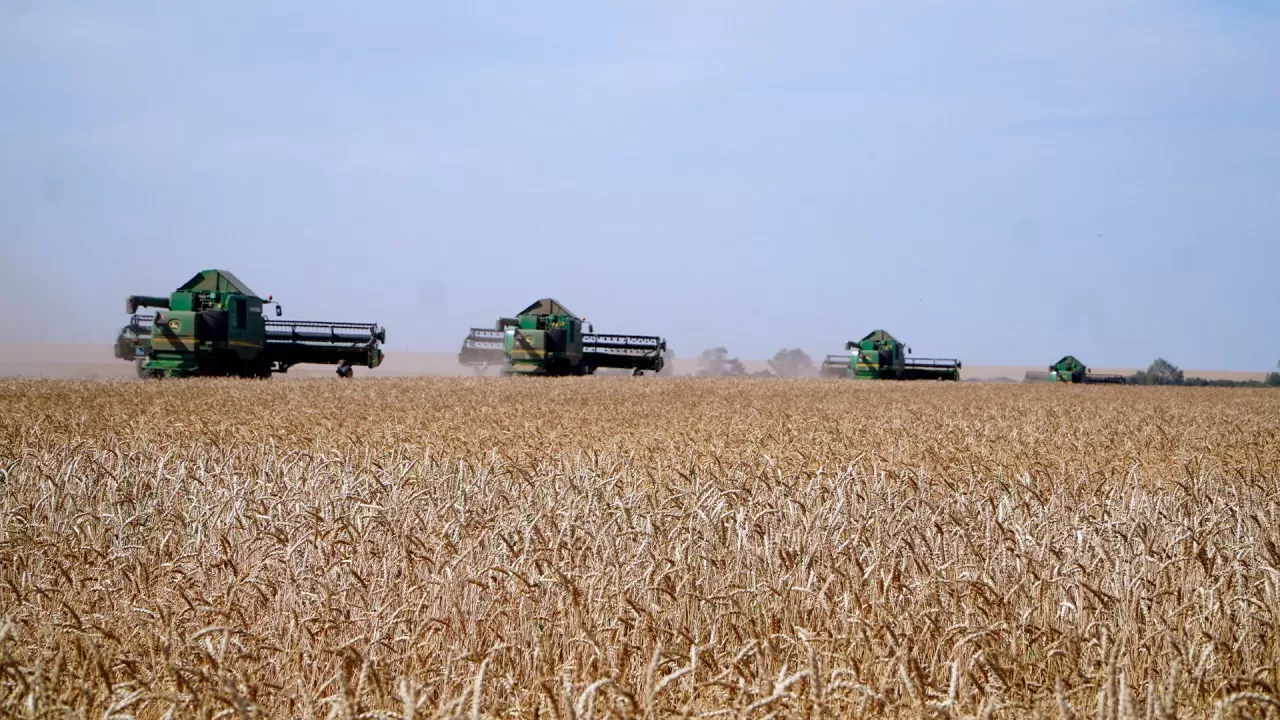 Казахстан намерен увеличить экспорт мяса в два раза 