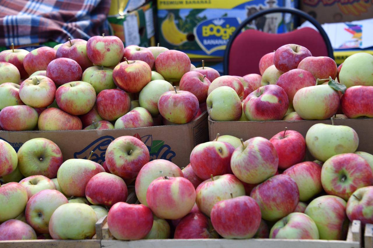 Алматы апорты экспортқа шығады