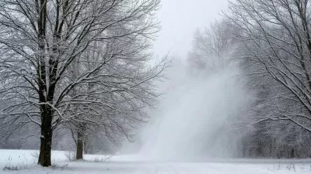 Метель и сильный ветер обещают синоптики в регионах Казахстана