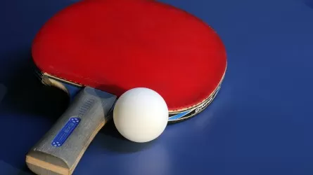 В Шымкенте стартует международный турнир по теннису Shymkent CUP 