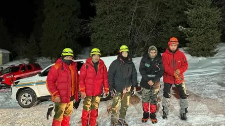 SOS дабылы ажалдан арашалады: Алматы тауларында жартаста тұрып қалған азамат құтқарылды