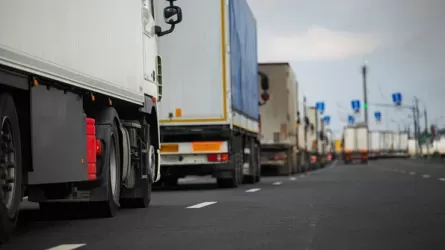 Подкарантинную продукцию массово ввозили с нарушениями в Казахстан