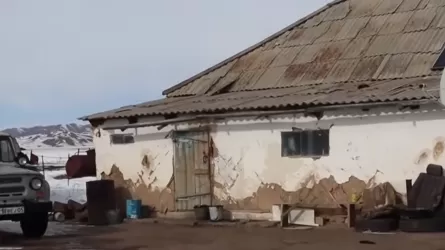 Тела троих взрослых и ребенка обнаружили в доме на юге Казахстана   