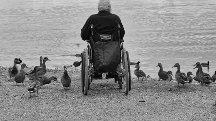 Инвалидность без очередей: как работает заочный формат 