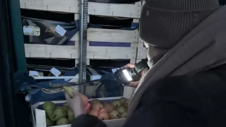 В порту Курык развернули партию фруктов 