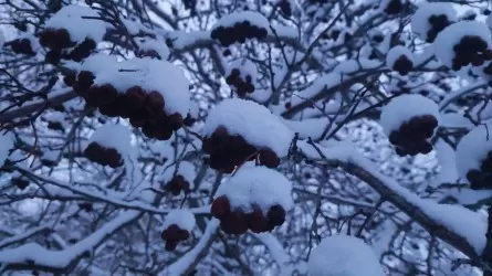 Названо число жертв сильнейших снегопадов в Японии 