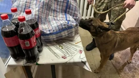В ручке сумки пытались пронести наркотики в колонию Кызылординской области 