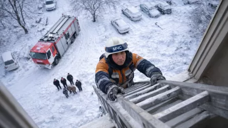 Девочку сняли с подоконника пятого этажа в Караганде 