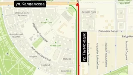 Один из главных проспектов Астаны перекрыли 