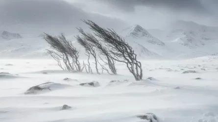 Резкое похолодание и шквалистый ветер: синоптики предупредили об опасной погоде 21 февраля