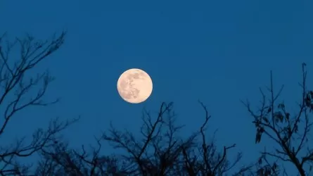 Маск анонсировал строительство городов на Луне и Марсе