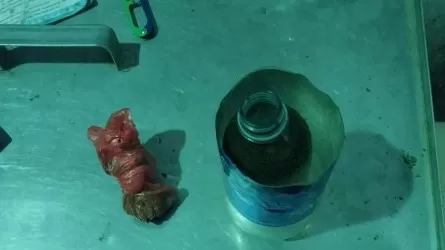 В Атырау сорвали доставку наркотиков за колючую проволоку 